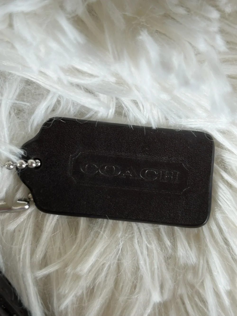 Coach | Signature C Canvas Crossbody